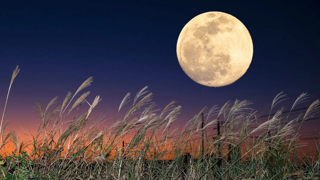 La Dernière Super Lune de 2023 : le 29 septembre, Lune des Moissons