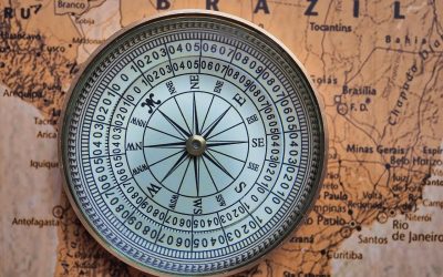 L'Amorphophallus titanum en Australie : quand la plus grande fleur du monde fascine les foules