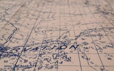 Les architectes des abysses : comment les poissons antarctiques construisent leurs villes sous-marines