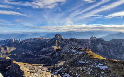 Requins surpêchés : la révolution du répulsif électromagnétique qui pourrait sauver des millions de vies